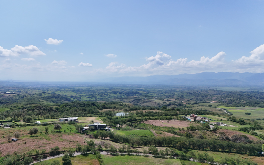 La Trinidad – Pereira, Risaralda